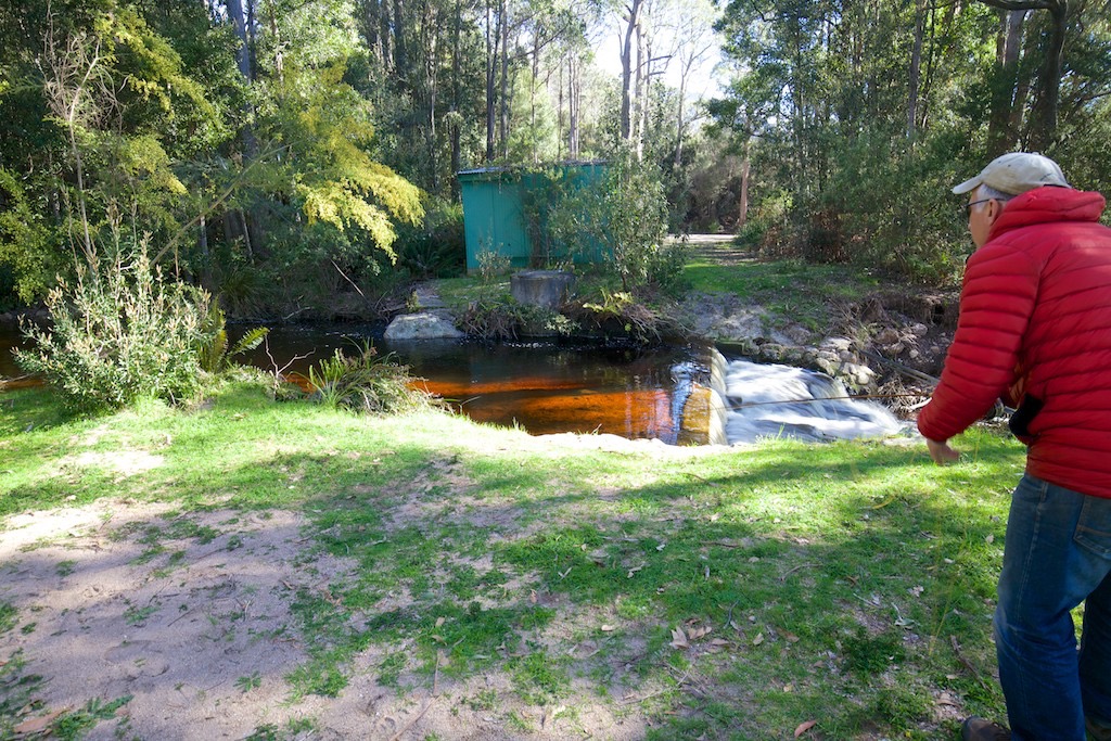 A typical small Tasmanian stream