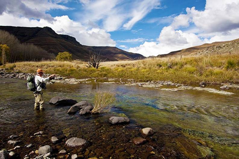 South African Stream