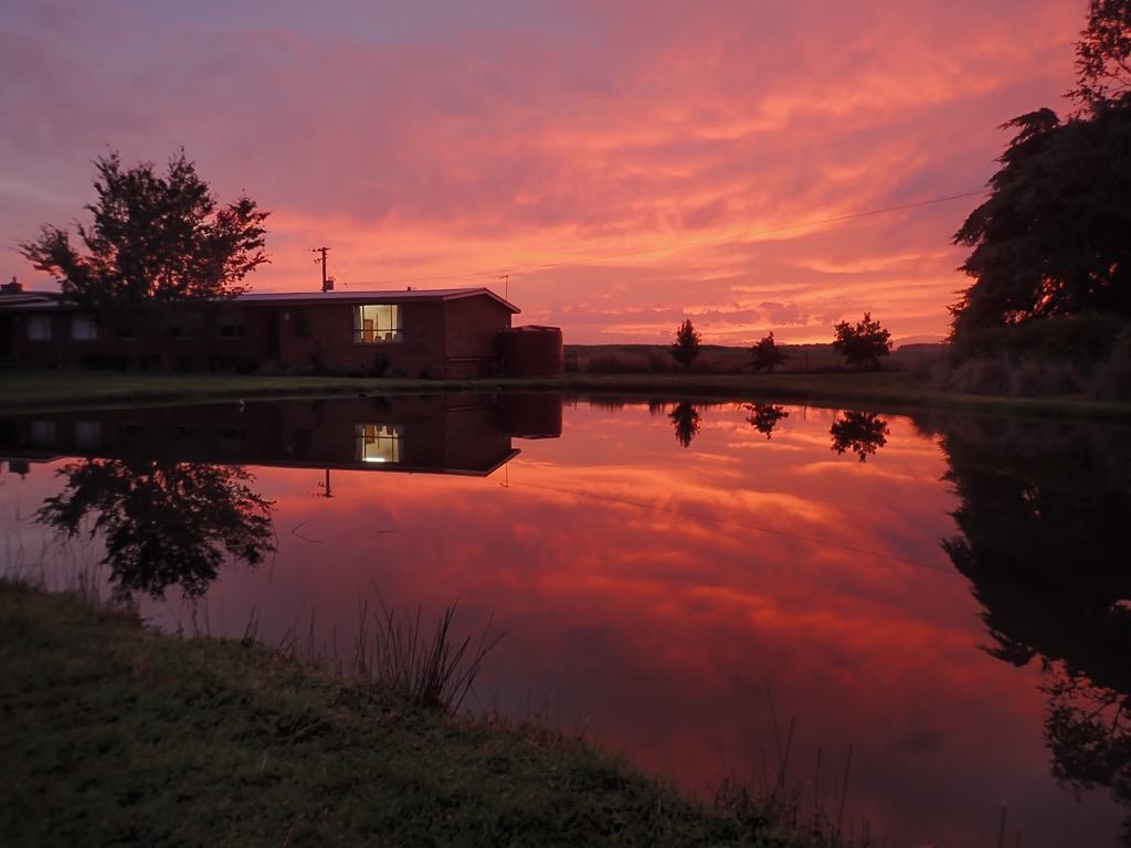 Dawn on the casting pond